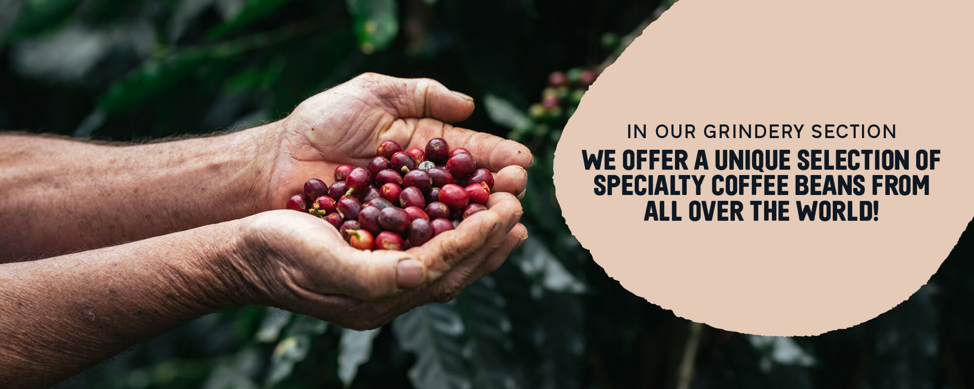 Coffee Island Online Order Coffee Delivery and Takeaway