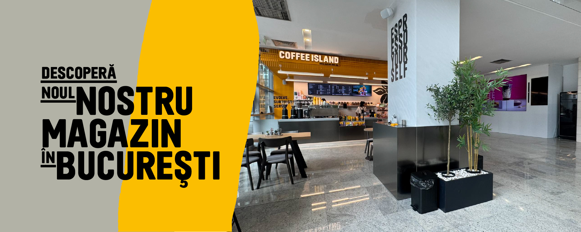 Coffee Island