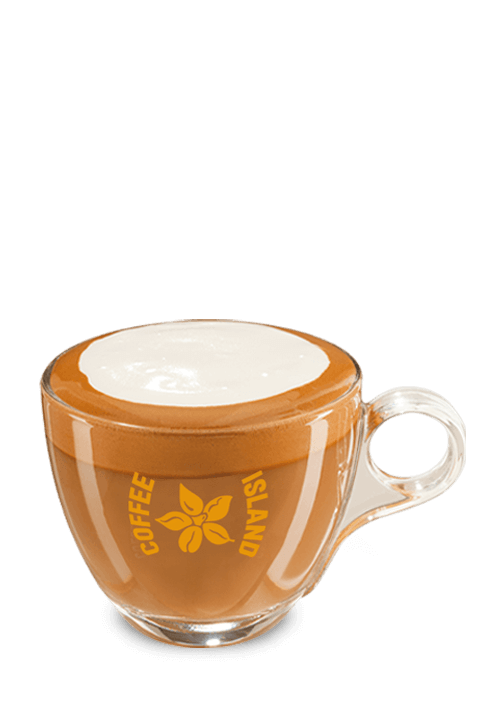 Cappuccino Medium 8oz