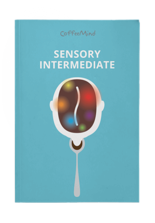 Sensory Intermediate Book