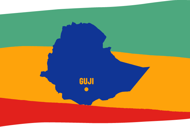 Ethiopia Guji (In Bulk)