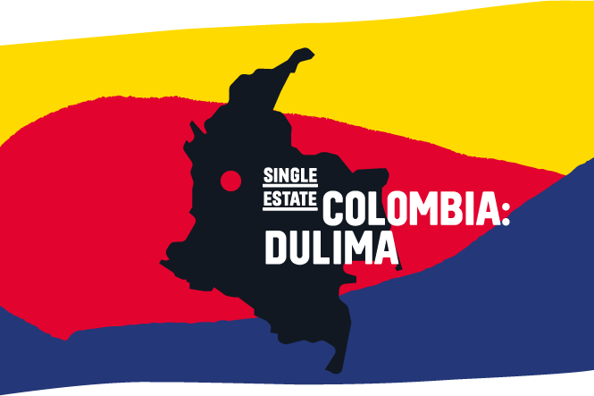 Colombia Dulima (In Bulk)